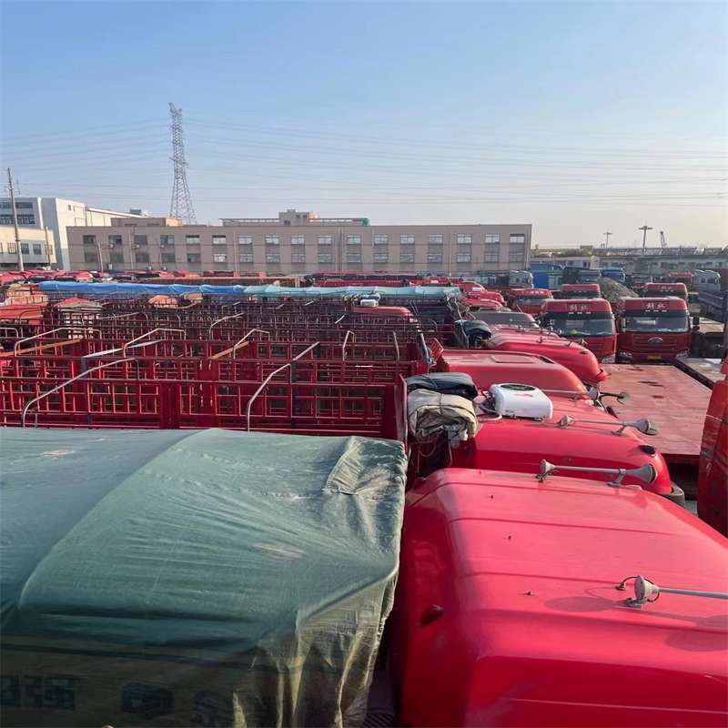 乐业县栖霞市物流：多元运输服务与线路探秘